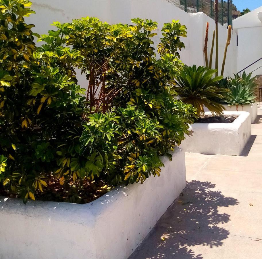 Most Sunny Days On Gran Canaria Puerto Rico  Eksteriør bilde