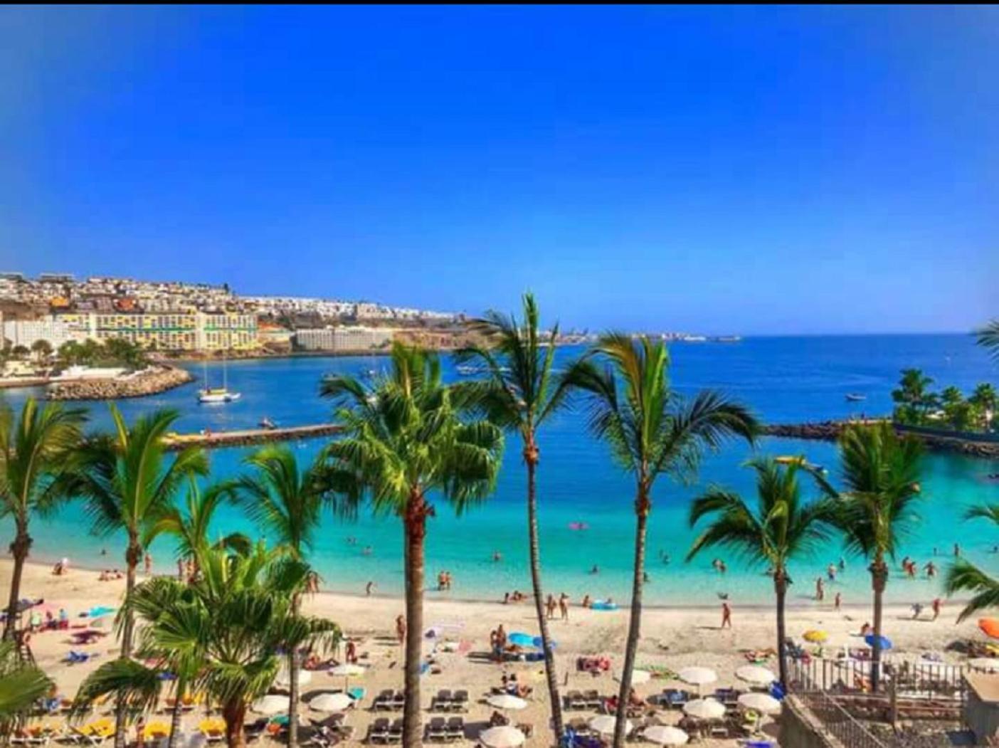 Most Sunny Days On Gran Canaria Puerto Rico  Eksteriør bilde