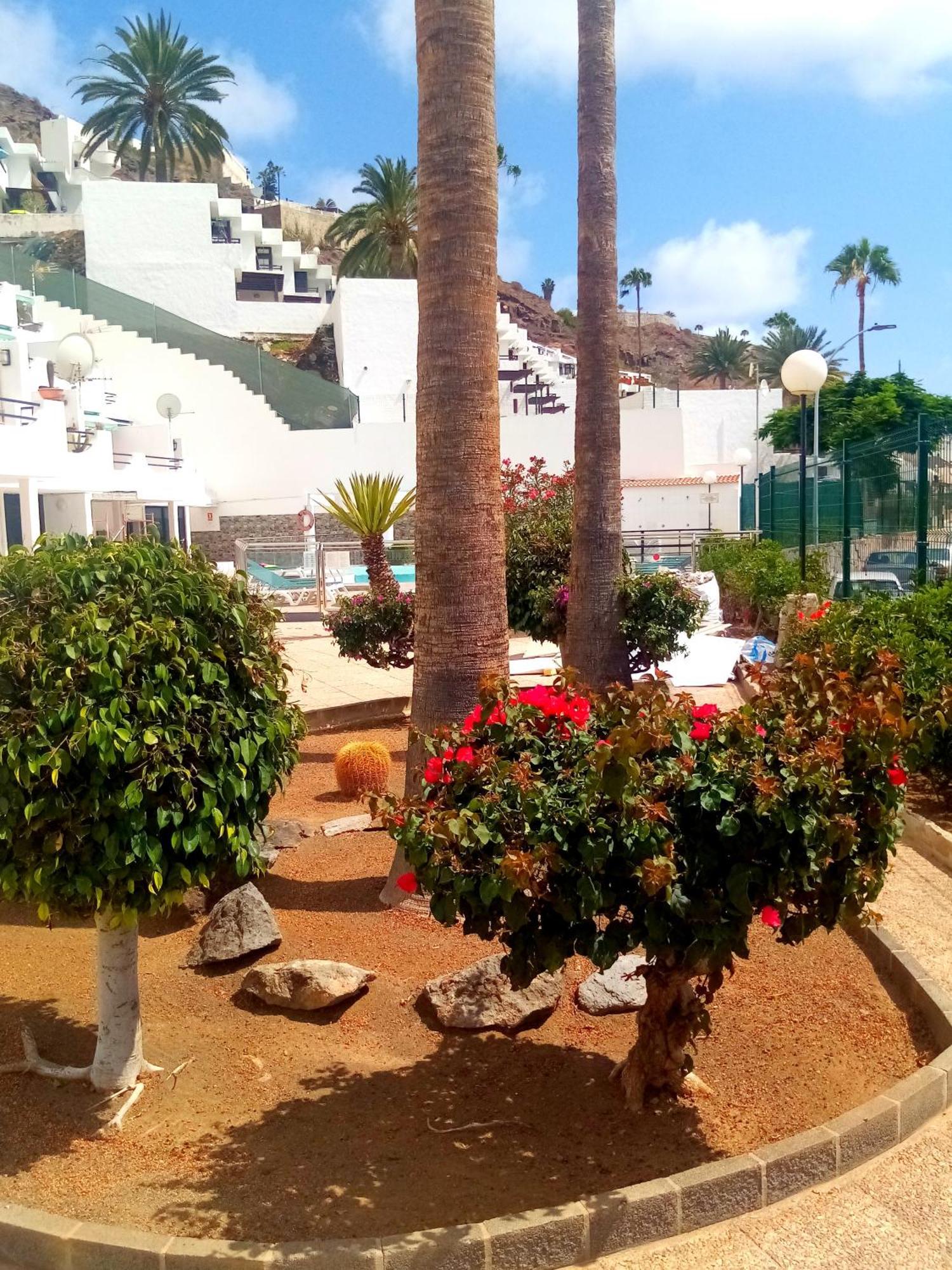Most Sunny Days On Gran Canaria Puerto Rico  Eksteriør bilde